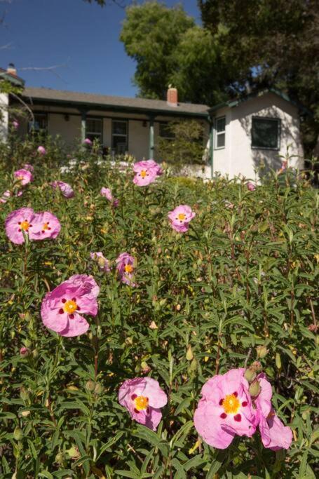 Wine Country Bungalow Atascadero Exterior photo